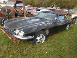 1978 Jaguar XJ (CC-1963970) for sale in Gray Court, South Carolina