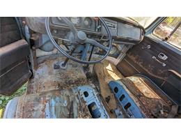 1969 Volkswagen Bus (CC-1964016) for sale in Gray Court, South Carolina