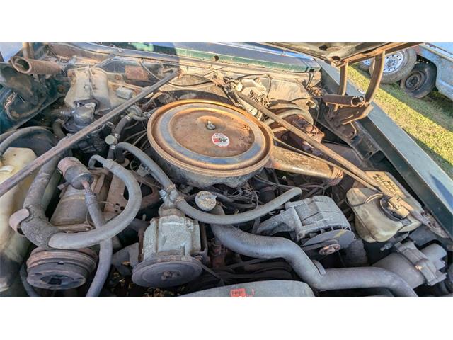 1976 Cadillac Seville (CC-1964021) for sale in Gray Court, South Carolina