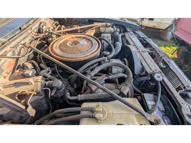 1976 Cadillac Seville (CC-1964021) for sale in Gray Court, South Carolina