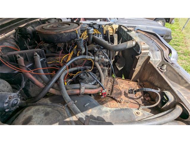 1979 Jeep Cherokee (CC-1964046) for sale in Gray Court, South Carolina