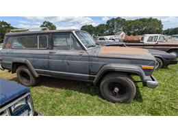 1979 Jeep Cherokee (CC-1964046) for sale in Gray Court, South Carolina
