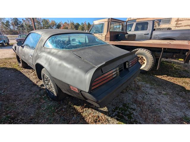 1977 Pontiac Firebird Trans Am (CC-1964083) for sale in Gray Court, South Carolina