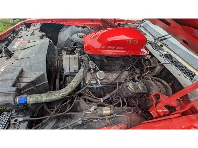 1980 Pontiac Firebird Trans Am (CC-1964115) for sale in Gray Court, South Carolina