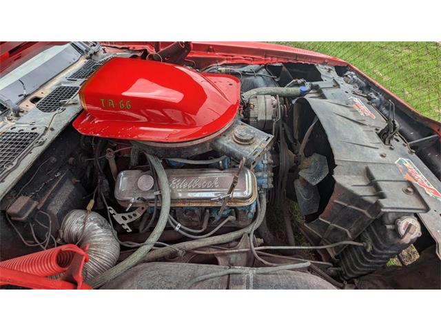 1980 Pontiac Firebird Trans Am (CC-1964115) for sale in Gray Court, South Carolina