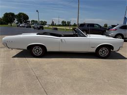 1966 Pontiac GTO (CC-1964169) for sale in Effingham, Illinois
