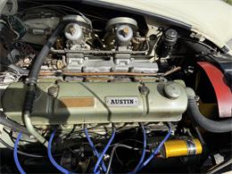 1960 Austin-Healey 3000 Mark I BN7 (CC-1964232) for sale in Malvern, Pennsylvania