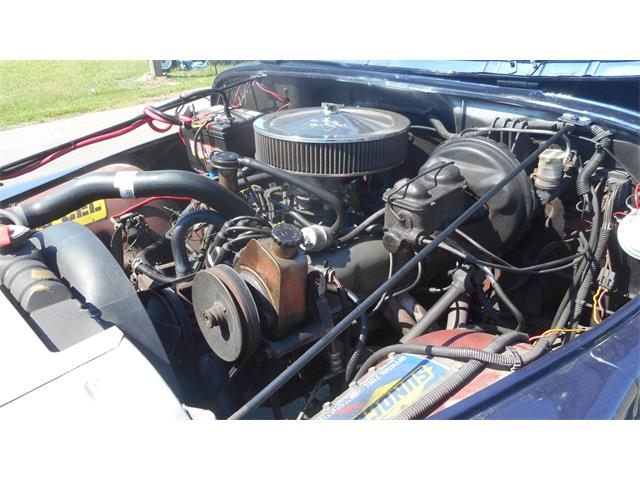 1978 Jeep Wrangler (CC-1964864) for sale in Greenville, North Carolina