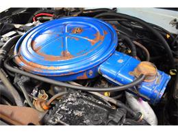 1977 Ford Pinto (CC-1965755) for sale in Wayne, Michigan