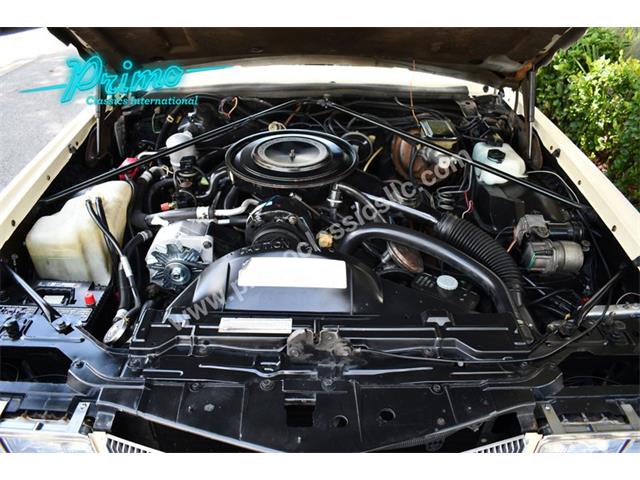 1984 Cadillac Eldorado Biarritz (CC-1965789) for sale in Lakeland, Florida