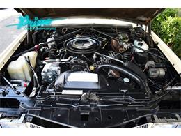 1984 Cadillac Eldorado Biarritz (CC-1965789) for sale in Lakeland, Florida
