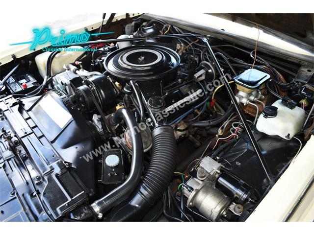 1984 Cadillac Eldorado Biarritz (CC-1965789) for sale in Lakeland, Florida