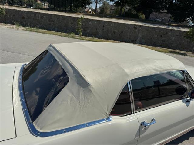 1966 Ford Mustang (CC-1966573) for sale in Celeste, Texas