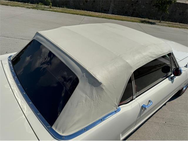 1966 Ford Mustang (CC-1966573) for sale in Celeste, Texas