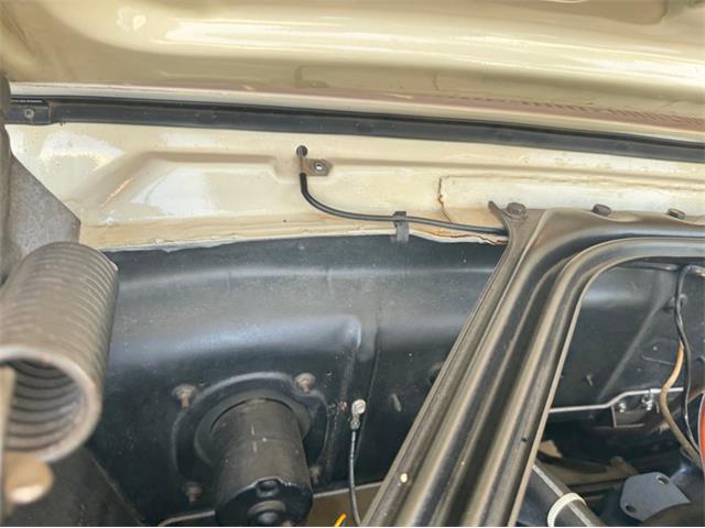 1966 Ford Mustang (CC-1966573) for sale in Celeste, Texas