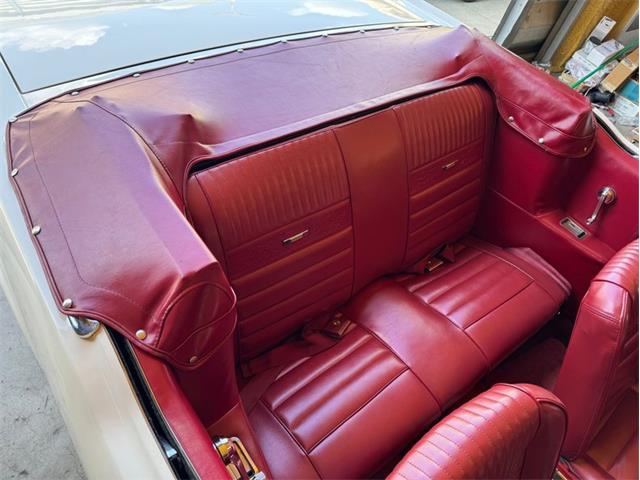 1966 Ford Mustang (CC-1966573) for sale in Celeste, Texas