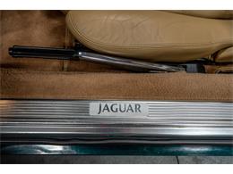 1995 Jaguar XJS (CC-1967701) for sale in Bristol, Pennsylvania