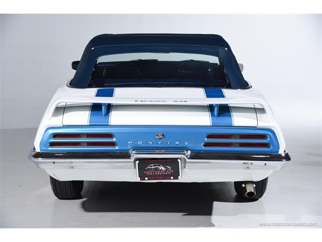 1969 Pontiac Firebird Trans Am (CC-1968277) for sale in Farmingdale, New York