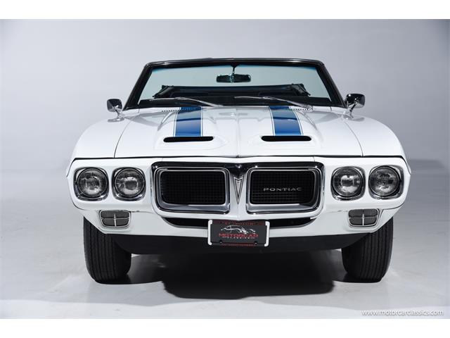 1969 Pontiac Firebird Trans Am (CC-1968277) for sale in Farmingdale, New York