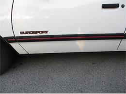 1989 Chevrolet Celebrity (CC-1968580) for sale in Cadillac, Michigan