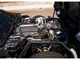 1995 Chevrolet Corvette (Indy 500 Pace Car) (CC-1971725) for sale in Shamong, New Jersey