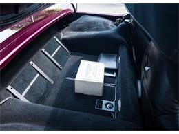 1995 Chevrolet Corvette (Indy 500 Pace Car) (CC-1971725) for sale in Shamong, New Jersey