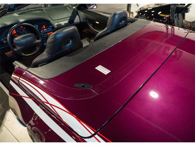 1995 Chevrolet Corvette (Indy 500 Pace Car) (CC-1971725) for sale in Shamong, New Jersey