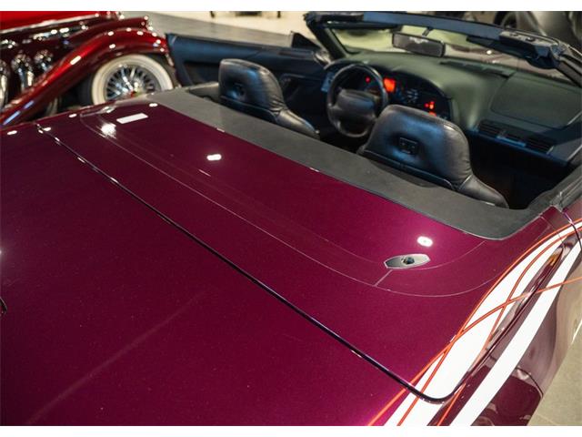 1995 Chevrolet Corvette (Indy 500 Pace Car) (CC-1971725) for sale in Shamong, New Jersey