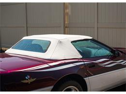 1995 Chevrolet Corvette (Indy 500 Pace Car) (CC-1971725) for sale in Shamong, New Jersey