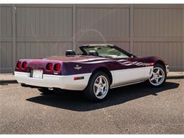1995 Chevrolet Corvette (Indy 500 Pace Car) (CC-1971725) for sale in Shamong, New Jersey