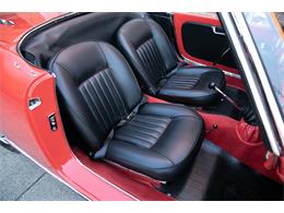 1965 Alfa Romeo Giulia Spider Veloce (CC-1972308) for sale in Los Angeles, California
