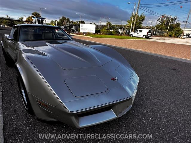 1982 Chevrolet Corvette (CC-1974126) for sale in Clearwater, Florida