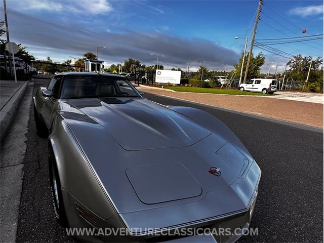 1982 Chevrolet Corvette (CC-1974126) for sale in Clearwater, Florida