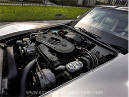 1982 Chevrolet Corvette (CC-1974126) for sale in Clearwater, Florida