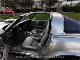 1982 Chevrolet Corvette (CC-1974126) for sale in Clearwater, Florida