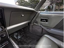 1982 Chevrolet Corvette (CC-1974126) for sale in Clearwater, Florida
