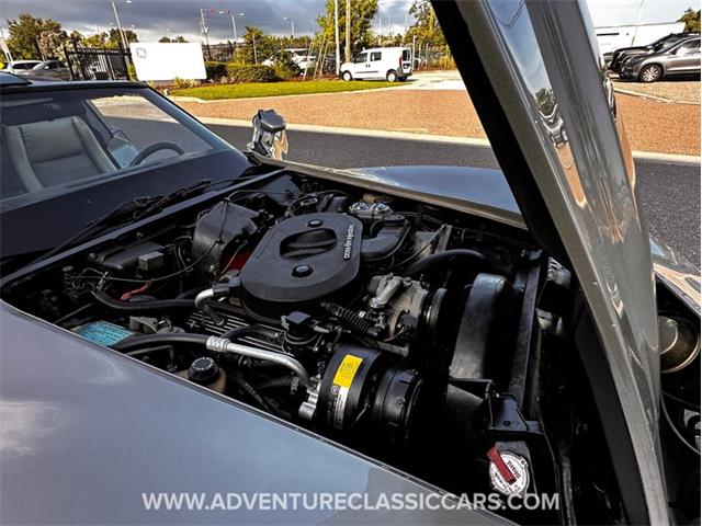 1982 Chevrolet Corvette (CC-1974126) for sale in Clearwater, Florida