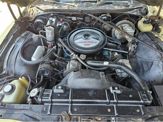 1977 Oldsmobile Vista Cruiser (CC-1974835) for sale in Cadillac, Michigan