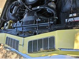 1977 Oldsmobile Vista Cruiser (CC-1974835) for sale in Cadillac, Michigan