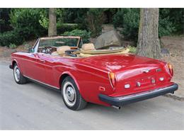 1983 Bentley T1 (CC-1975521) for sale in Astoria, New York