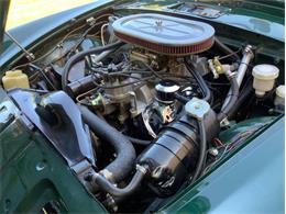 1965 Sunbeam Tiger (CC-1975651) for sale in Fredericksburg, Texas
