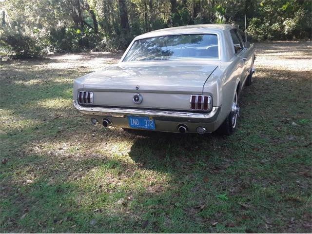 1965 Ford Mustang (CC-1976541) for sale in Cadillac, Michigan