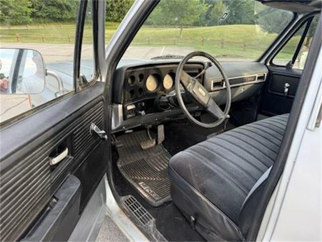 1979 GMC Sierra (CC-1976848) for sale in Cadillac, Michigan