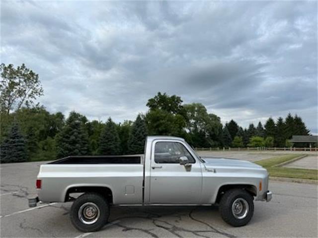 1979 GMC Sierra (CC-1976848) for sale in Cadillac, Michigan