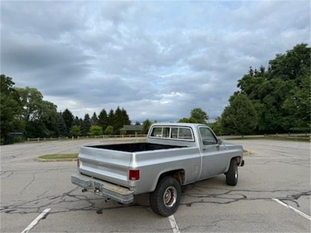 1979 GMC Sierra (CC-1976848) for sale in Cadillac, Michigan
