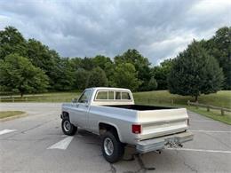 1979 GMC Sierra (CC-1976848) for sale in Cadillac, Michigan