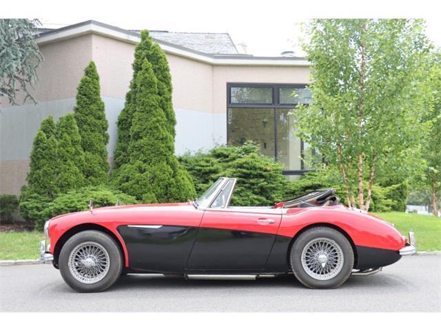 1965 Austin-Healey 3000 Mark III (CC-1976966) for sale in Astoria, New York