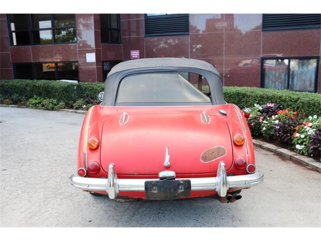 1967 Austin-Healey 3000 Mark III (CC-1976967) for sale in Astoria, New York