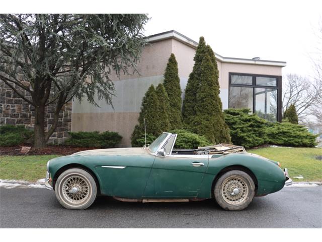 1967 Austin-Healey 3000 Mark III (CC-1976975) for sale in Astoria, New York