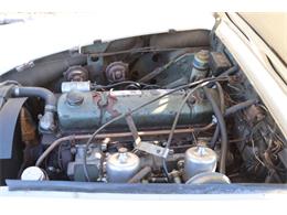 1966 Austin-Healey 3000 Mark III (CC-1976984) for sale in Astoria, New York